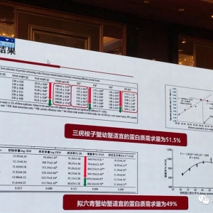 �����:��ˮз�I�B�����c������Ƽ��g