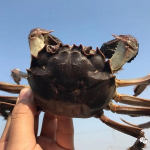 4���x����з�磬�ɻ���һ����߲���