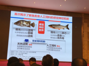 �A���r(n��ng)�����񷽣��Z�~�zʳ�C�����˹��Z��g(sh��)