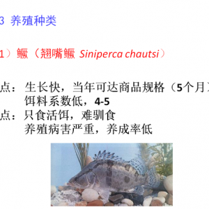 �Ϻ������W(xu��)�w����:�Z�~�N�|(zh��)�YԴ�cƷ�N�����śr