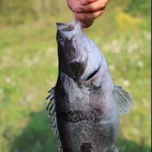 �V�|�Z�~�r���µ�3Ԫ/�������������