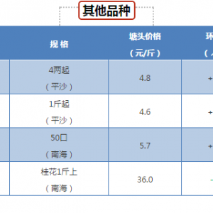 �|�~���~�ܽ��O���R��Ӱ푣����п��q