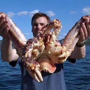 ������Q���Pϵ����������˹�������L����Ҫ���Ї�