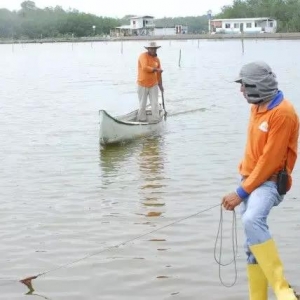 ��϶ࠖ����ܳɞ�ȫ����ɹ����B�r����