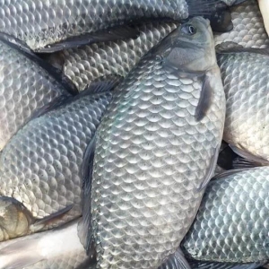 �a�~��ߝq1Ԫ/������x���Ú��������·������@�