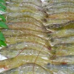 ���r���������r�r�»���������������