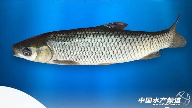 ���~���ļҏ�������2018�ꃞ�|���~������gӭ���]����ՈͶƱ��