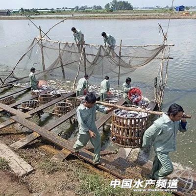 ߀�ڝq��Խ�ϰ�ɳ�~���r�ٝq500Խ�϶ܣ����d�Ј����󏊄��ƄӃr���߸�