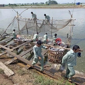 Խ�ϰ�ɳ�~���r�ٝq500Խ�϶���