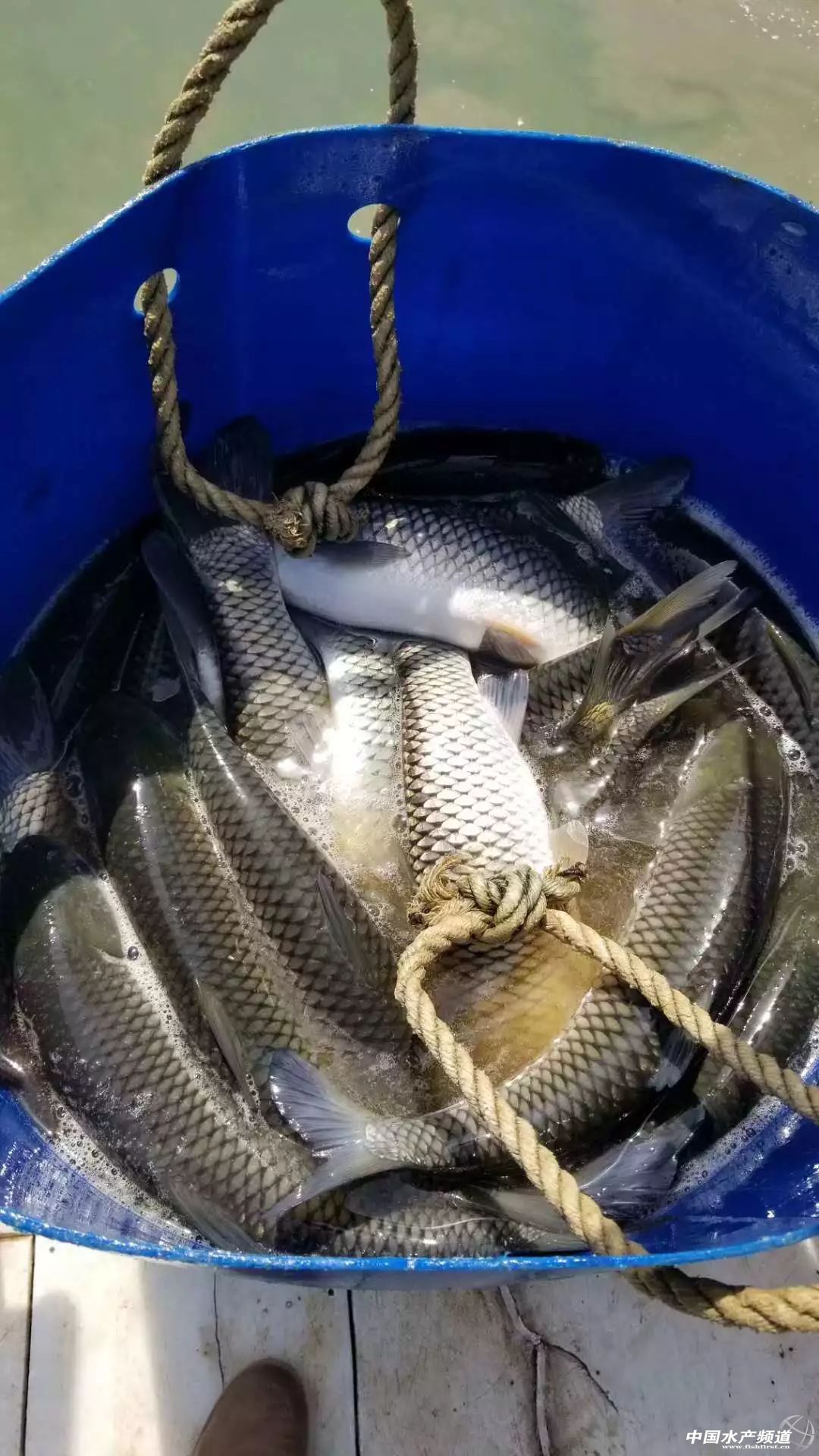 �����ݝO�����r�r�񱩝q�����~��ӭ��q�r���C��������ߝq0.3Ԫ