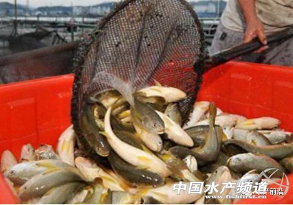 30�|β�Ј�����������x���|�磿�����S�~֮�������Ҹ�����֧��