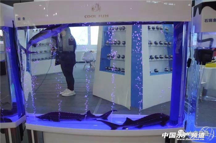 ��Ϲ��I(y��)չ��(qi��ng)��(sh��)��(l��i)�u����(gu��)��(n��i)���600����I(y��)�R���L(zh��ng)ɳ����·���T(m��n)Ҫ�Ĵ��ǡ���