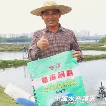 ����ʯ���~���r���B�����aֵ���_10���f������������ģ�