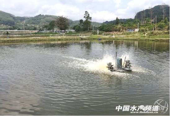 ����ʯ���~���r���B�����aֵ���_10���f������������ģ�