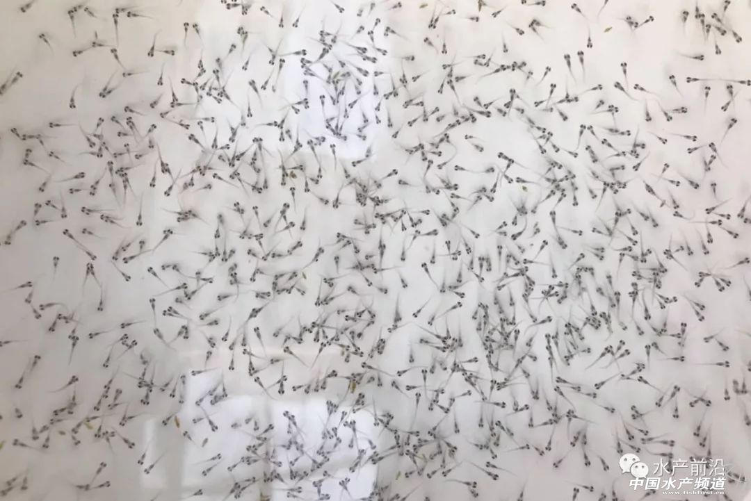 ����������lչ�����Ј���y�����N��ȱ�������|�N�Iӭ��������