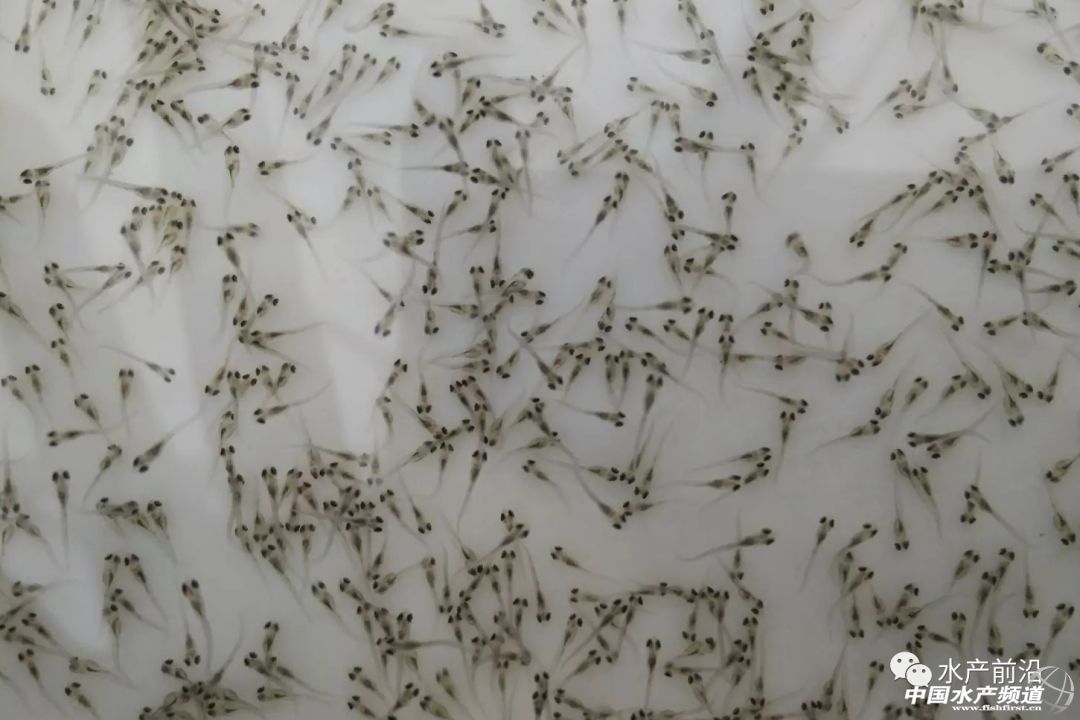 ����������lչ�����Ј���y�����N��ȱ�������|�N�Iӭ��������