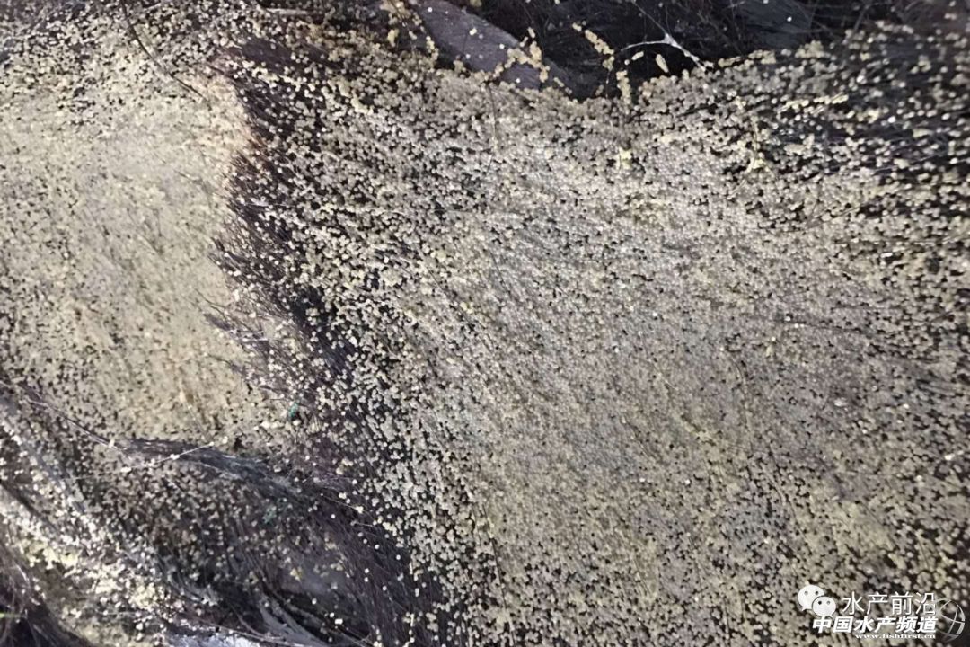 ����������lչ�����Ј���y�����N��ȱ�������|�N�Iӭ��������