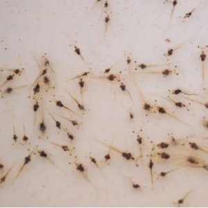 �l��2018�Ї���ֵ�����]���r����I(y��)?