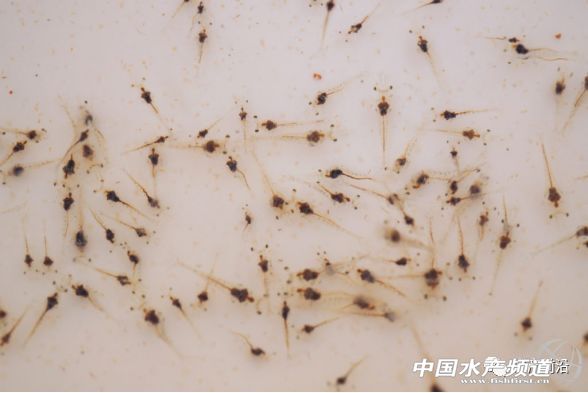 �r�縂���ןữ���l����2018�Ї���ֵ�����]���r����I?