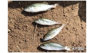 �����|�����������ǲ����I(y��)��(n��i)�м��@���f��