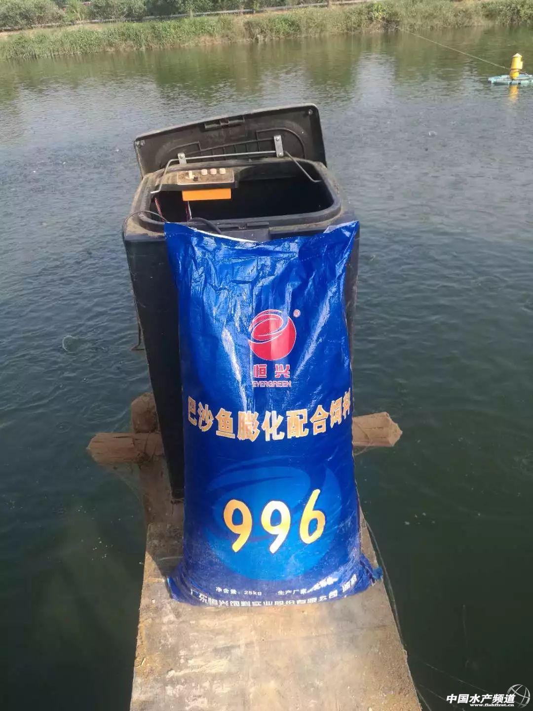 Խ�ϰ�ɳ�~�Ј�������(y��ng)���Ї�������ɳ�~�B(y��ng)ֳ���أ��l(f��)չ�Ї�������ɳ�~�B(y��ng)ֳ�a(ch��n)�I(y��)�����І᣿