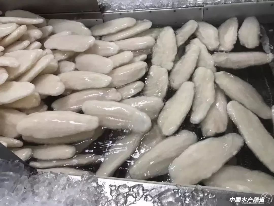 Խ�ϰ�ɳ�~�Ј�������(y��ng)���Ї�������ɳ�~�B(y��ng)ֳ���أ��l(f��)չ�Ї�������ɳ�~�B(y��ng)ֳ�a(ch��n)�I(y��)�����І᣿