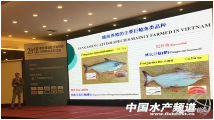 �@�l�~���B���ó�߀�����´̣����a50000��İ�ɳ�~�Ј��s��������һ��r�g���鯂�L40%��