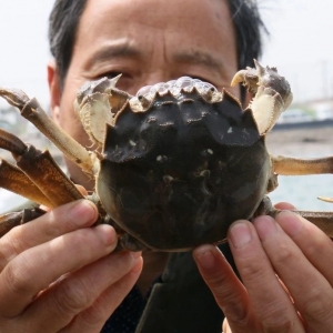 ���������������I(y��)���֓�λ�ĕr(sh��)�C(j��)����?