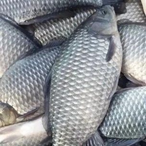 �a�~����������ѽ��ϝq0.5Ԫ������M���r����߀���ӣ�