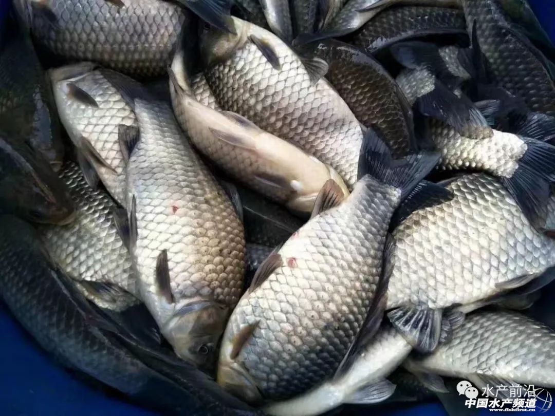 �a�~����������ѽ��ϝq0.5Ԫ������M���r����߀���ӣ�