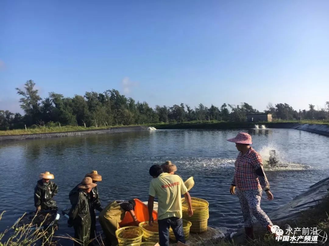 �����@�l�������o(h��)�w֮�~(y��)����������B(y��ng)�����@�ݮa(ch��n)�I(y��)��(b��o)��Ո(q��ng)�պã�