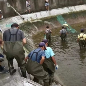 �㽭�@�ׂ��˜ʻ��B�r������Ҋ�^�ׂ���