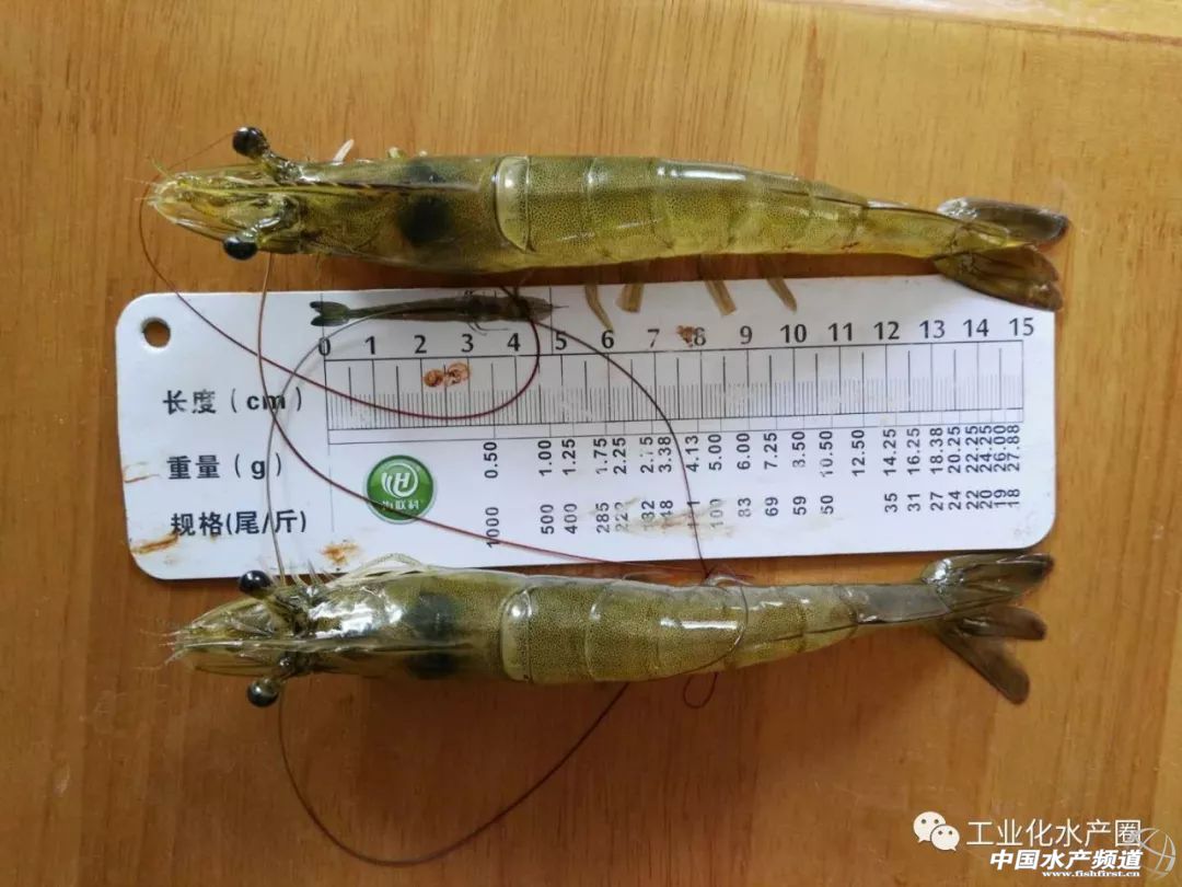 ��������ּ�ˮ̎�����㽭�@�ׂ��˜ʻ��B�r������Ҋ�^�ׂ���