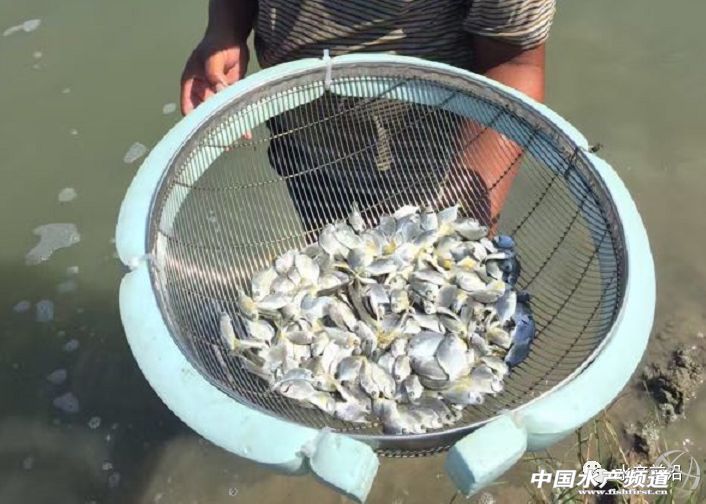 ������K�~�r��q��13Ԫ/�Ո�@���Bֳ���㌢�к��S������