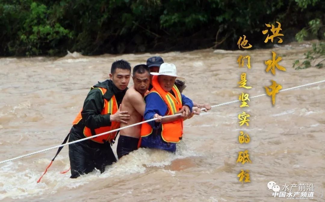 �����˲��ش��������f���~���ܞ�(z��i)����(sh��)�f���~���M������늴�