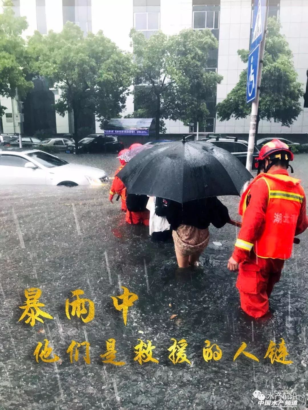 �����˲��ش��������f���~���ܞ�(z��i)����(sh��)�f���~���M������늴���