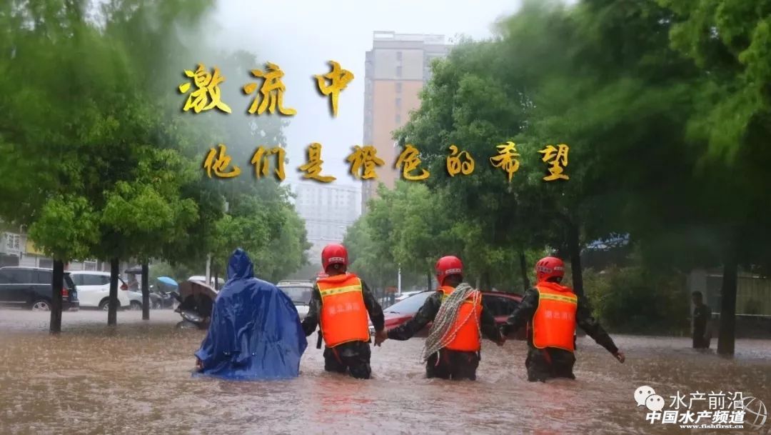 �����˲��ش��������f���~���ܞ�(z��i)����(sh��)�f���~���M������늴�