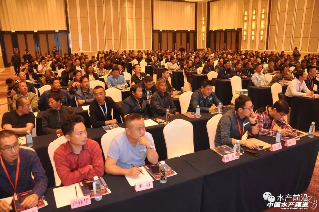 �؉�֮�£��A�|���r�a�I���R�h�����h���������ȉ������a�I����׃���������ƾ�֮·���@�