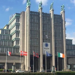 �����������rչ�����������