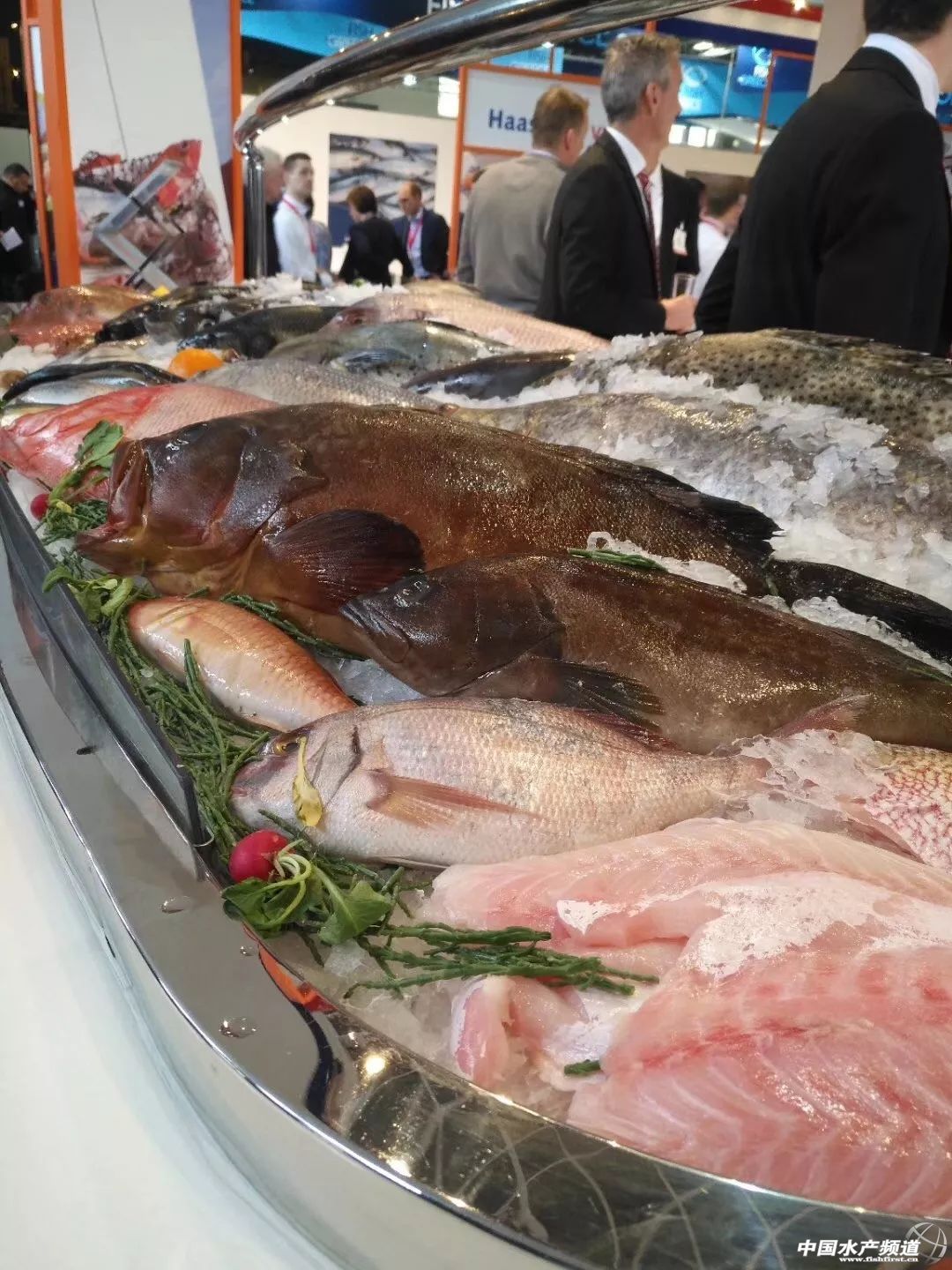 ֱ��ȫ���һ���rչ���F�����D+ҕ�l���u�������������rչ�����������