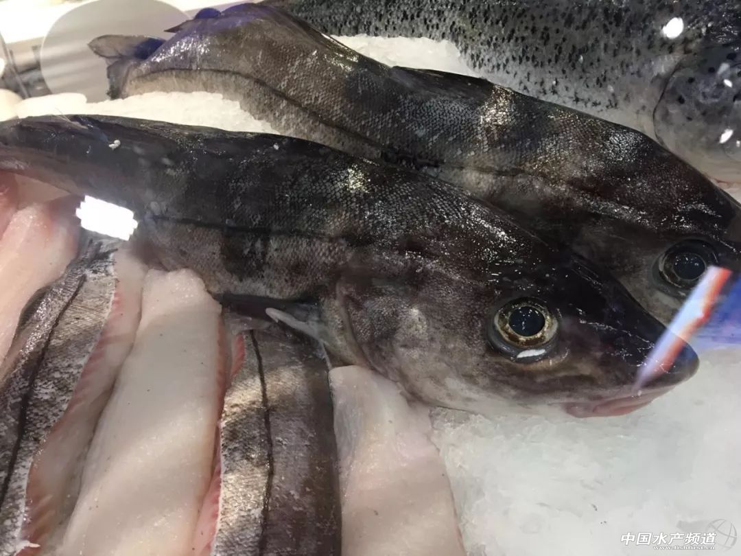 ֱ��ȫ���һ���rչ���F�����D+ҕ�l���u�������������rչ�����������