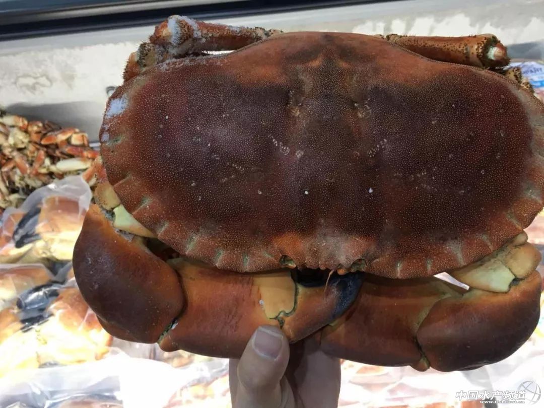 ֱ��ȫ���һ���rչ���F�����D+ҕ�l���u�������������rչ�����������