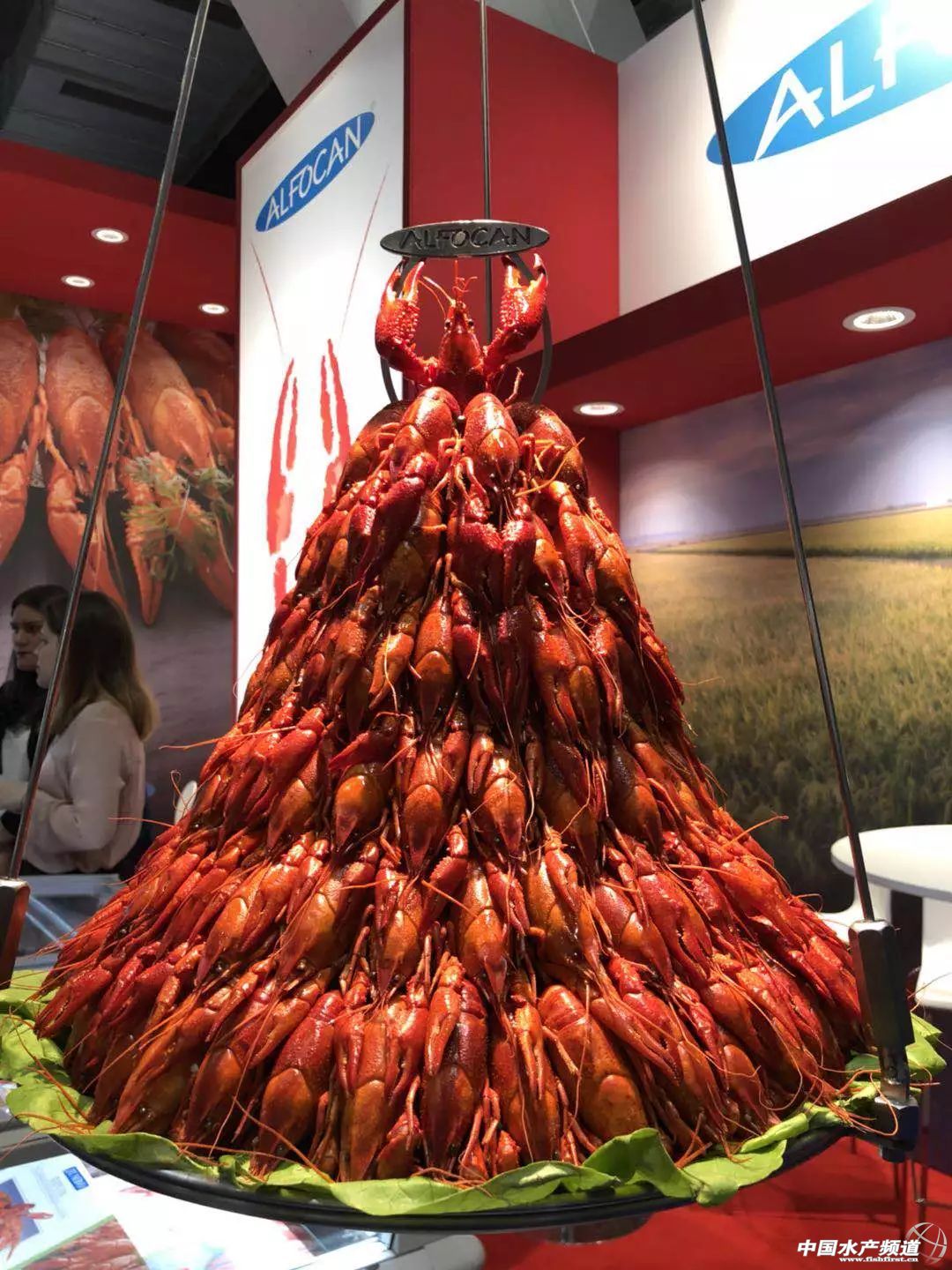 ֱ��ȫ���һ���rչ���F�����D+ҕ�l���u�������������rչ�����������