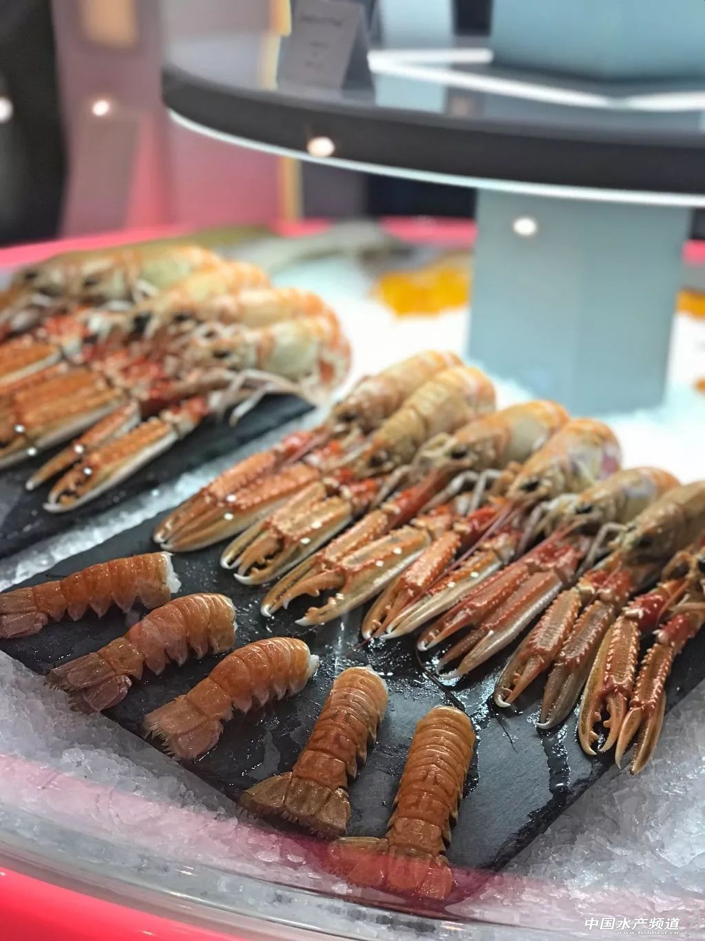 ֱ��ȫ���һ���rչ���F�����D+ҕ�l���u�������������rչ�����������