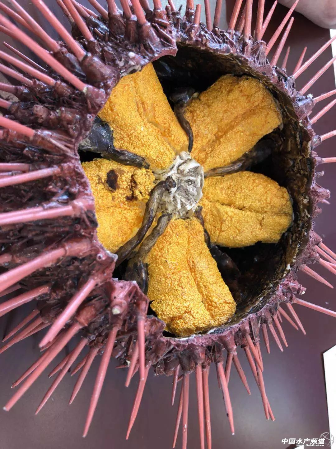 ֱ��ȫ���һ���rչ���F�����D+ҕ�l���u�������������rչ�����������