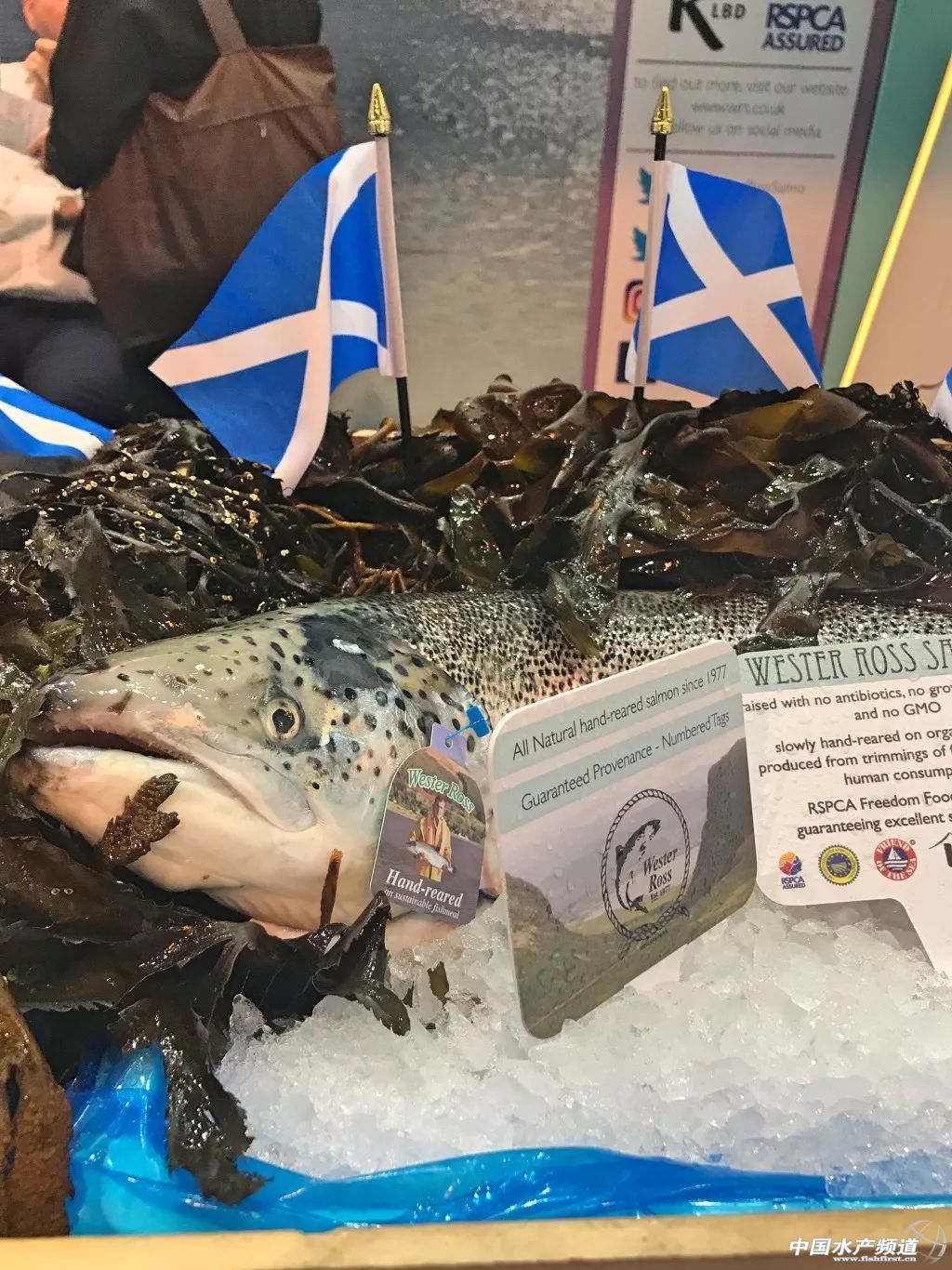 ֱ��ȫ���һ���rչ���F�����D+ҕ�l���u�������������rչ�����������