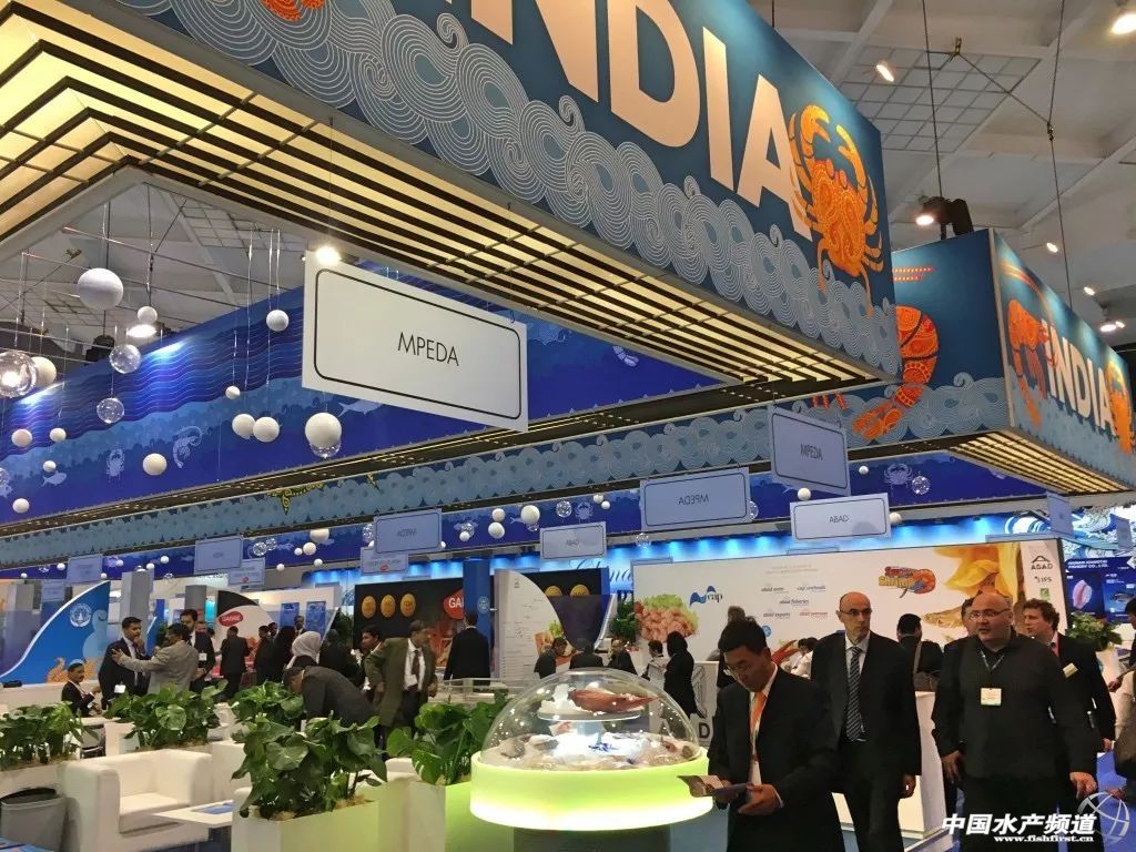 ֱ��ȫ���һ���rչ���F�����D+ҕ�l���u�������������rչ�����������