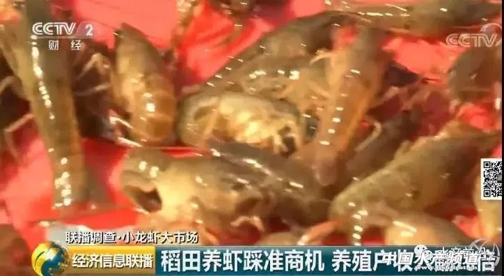 �����r���q��70Ԫ/��q�����_60%��2000�|��С���r�I���nƱ����C���Y�����񔇾֡������Եء�