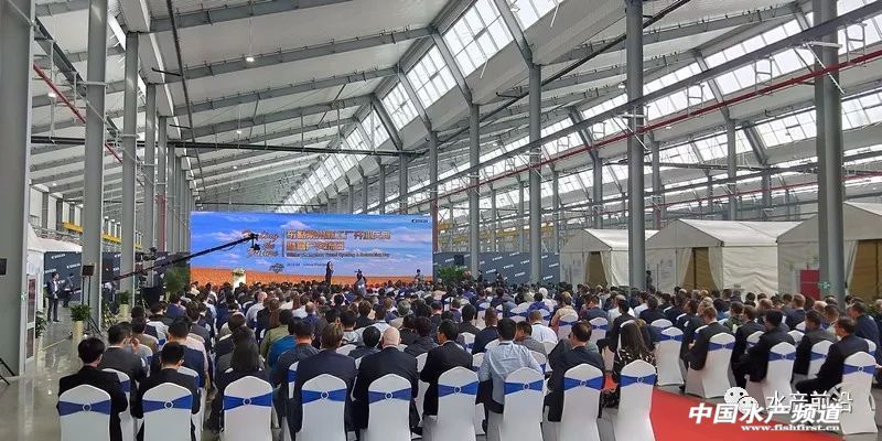 ���죬���󡢺���ͬ��Մ��ʲô��