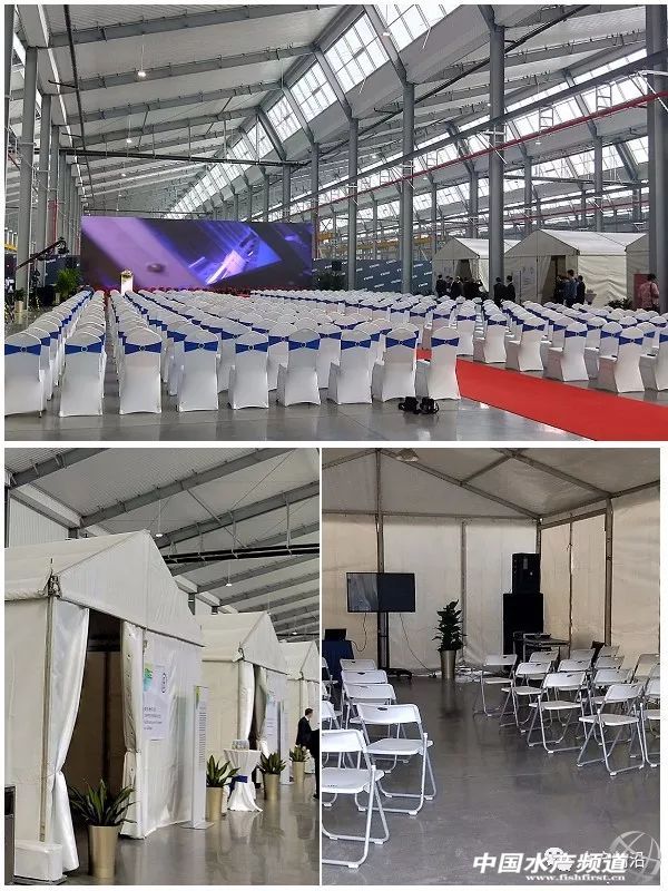 ���죬���󡢺���ͬ��Մ��ʲô��